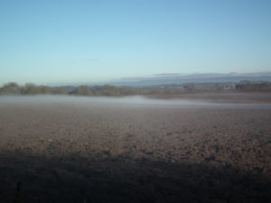 Mist (warm air) rising off the plough on Ripon Parks - looking out over the Plain of York (Colin Slator)