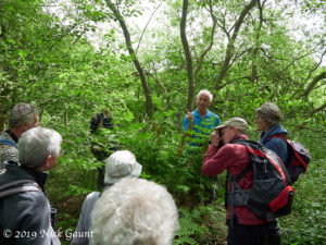 Alastair Fitter and HDNS members around Royal Fern
