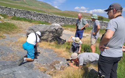 Ribblesdale’s botanical riches