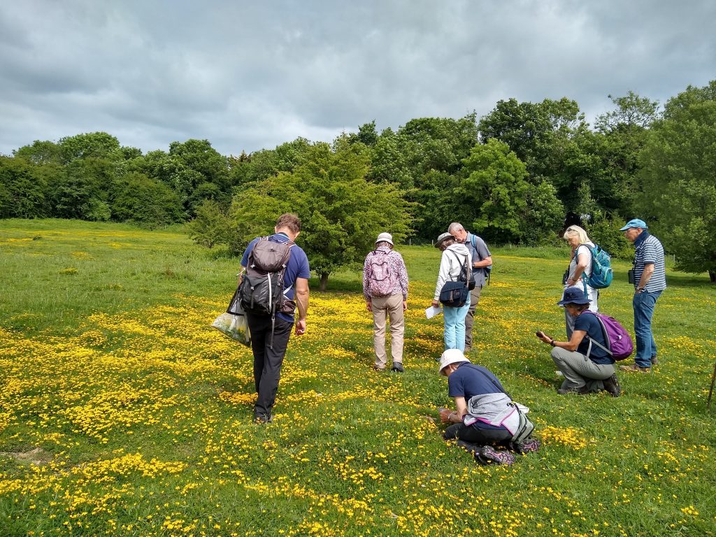 Group in Quarry Moor meadow (Sonia Starbuck)