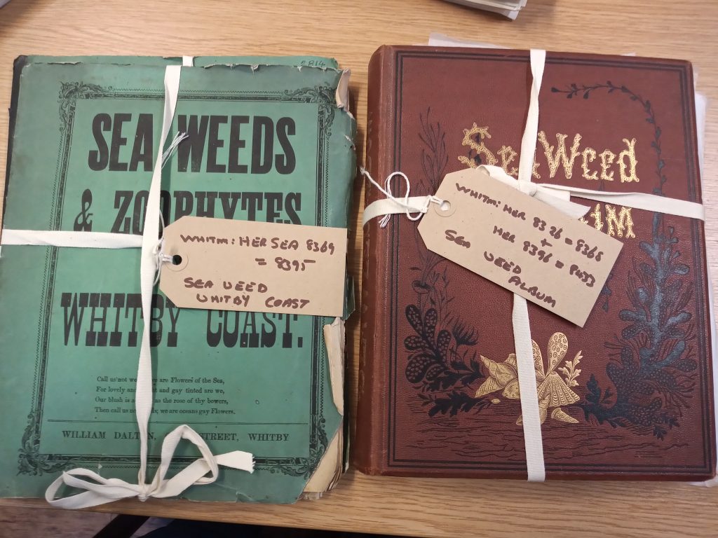 Seaweed specimen books, Whitby Museum