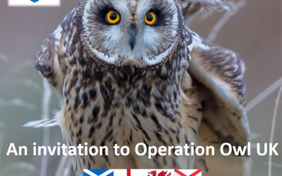Operation Owl on 21-22 September 2019